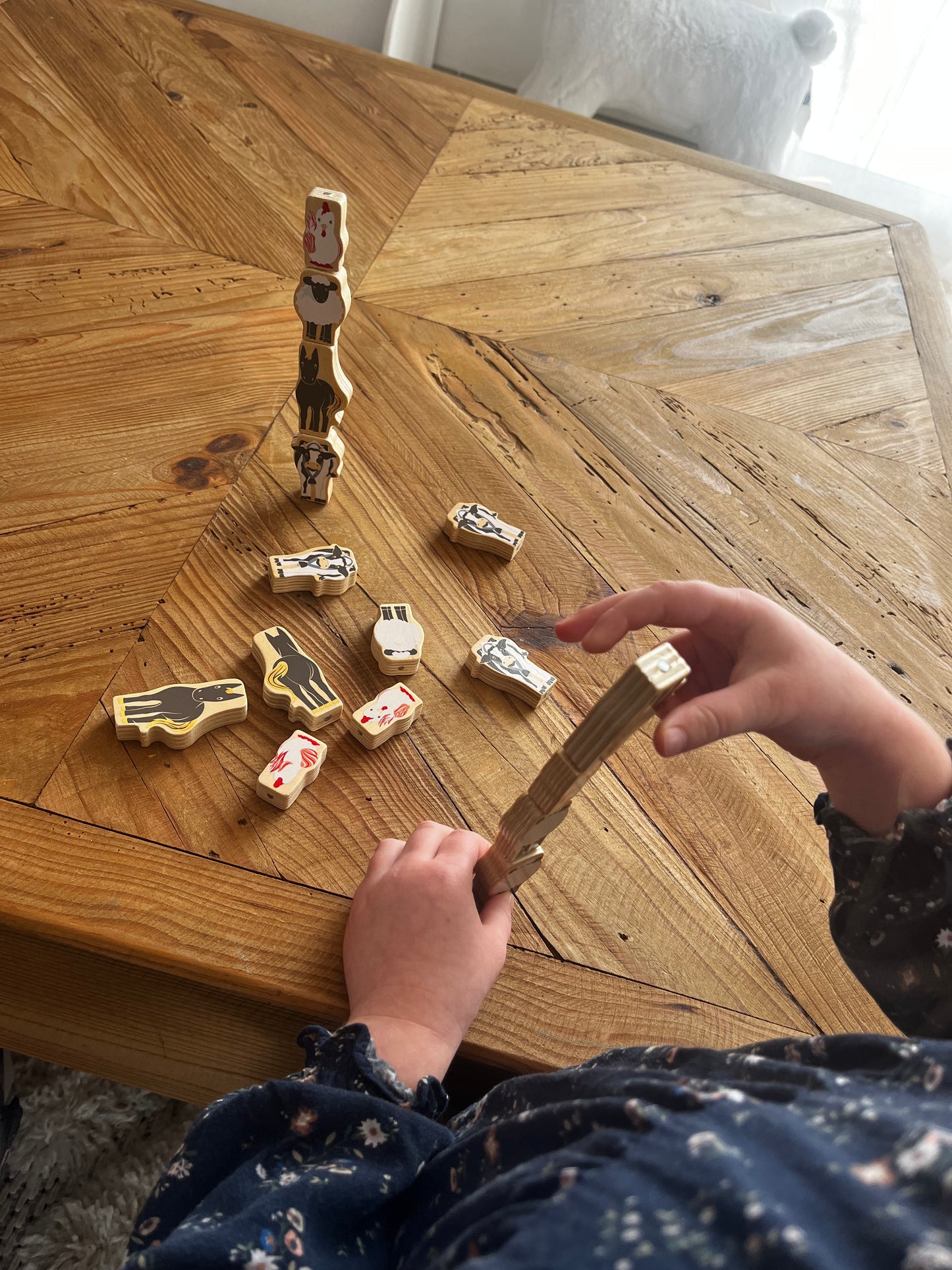 Collection de jeux « 4 amis »